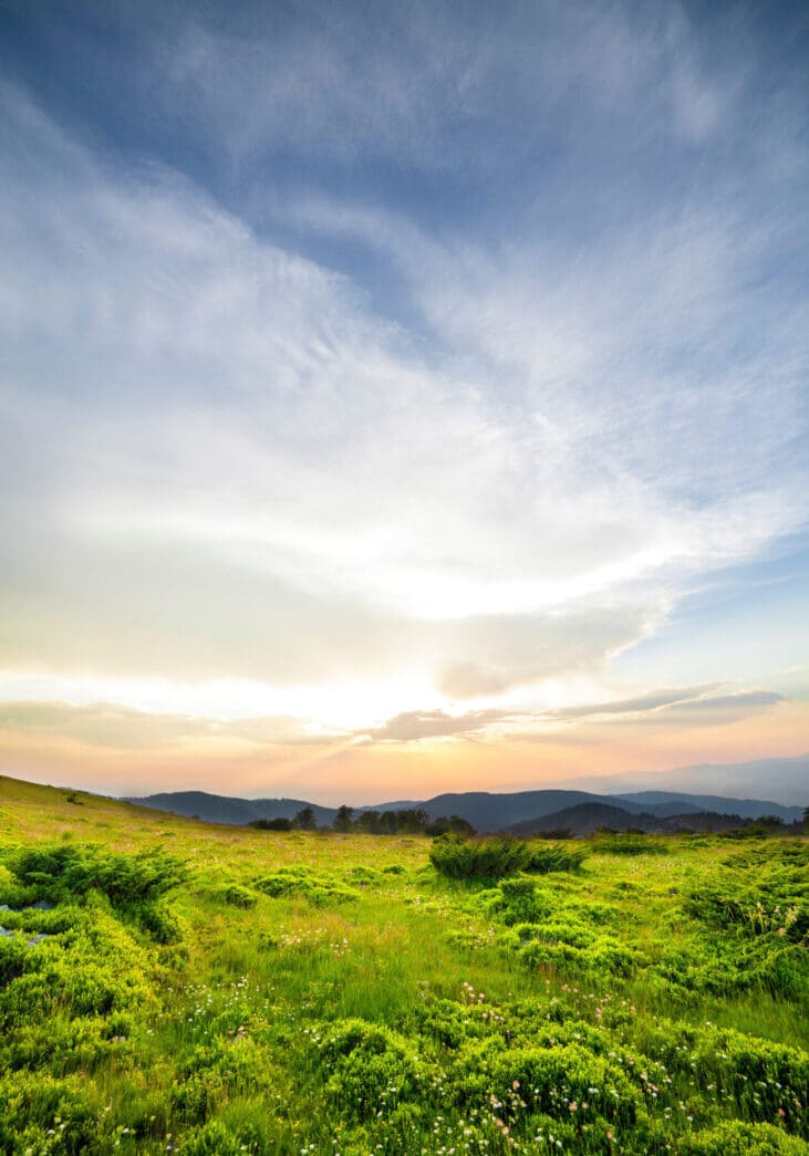 Sunset over green field
